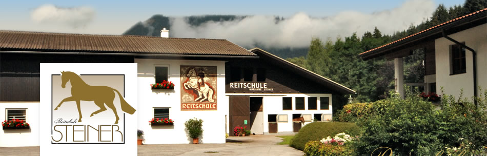 Reitschule Steiner in Eben in Pongau, Salzburger Land, AUSTRIA